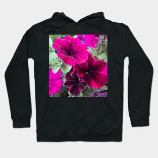 Magenta Petunia Summer Celebration of Deep Joy and Fun Hoodie